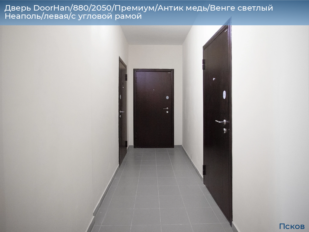 Дверь DoorHan/880/2050/Премиум/Антик медь/Венге светлый Неаполь/левая/с угловой рамой, pskov.doorhan.ru