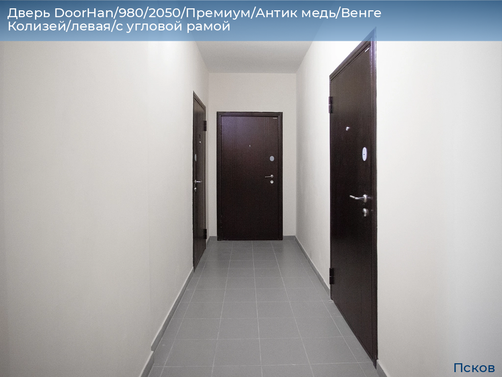 Дверь DoorHan/980/2050/Премиум/Антик медь/Венге Колизей/левая/с угловой рамой, pskov.doorhan.ru