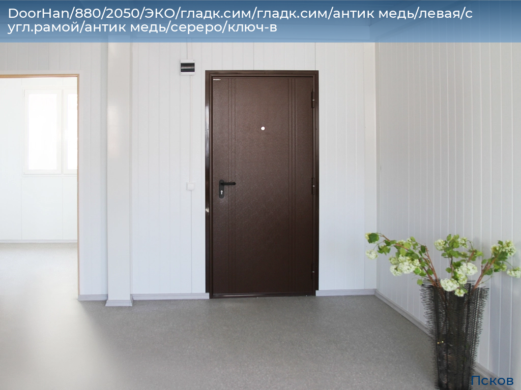 DoorHan/880/2050/ЭКО/гладк.сим/гладк.сим/антик медь/левая/с угл.рамой/антик медь/сереро/ключ-в, pskov.doorhan.ru